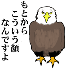 American and Canadian animals sticker #2342104