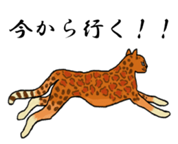 American and Canadian animals sticker #2342109