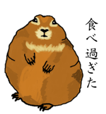 American and Canadian animals sticker #2342111