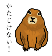 American and Canadian animals sticker #2342112