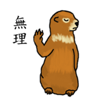 American and Canadian animals sticker #2342113