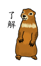 American and Canadian animals sticker #2342114