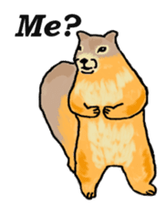 American and Canadian animals sticker #2342118