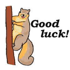 American and Canadian animals sticker #2342119