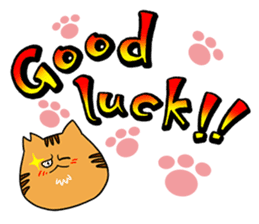 GO! GO! MAEDA cat!! sticker #2347619