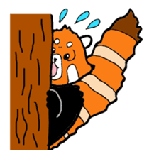 Lesser panda days sticker #2352032