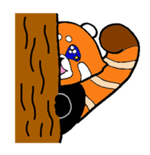 Lesser panda days sticker #2352033