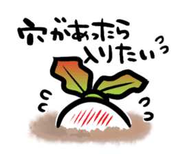 The Japanese radish using an honorific sticker #2352957