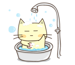 What the Tama Tan sticker #2352990