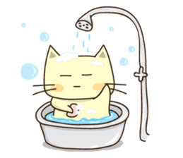 What the Tama Tan sticker #2352990