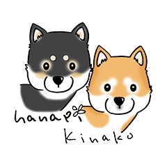 Shiba Inu "Hanapi" & "Kinako" face type