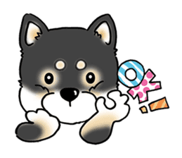 Shiba Inu "Hanapi" & "Kinako" face type sticker #2354760