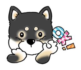 Shiba Inu "Hanapi" & "Kinako" face type sticker #2354760