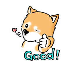 Shiba Inu "Hanapi" & "Kinako" face type sticker #2354761