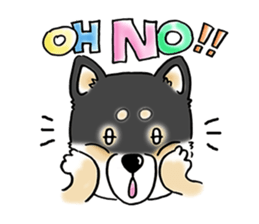 Shiba Inu "Hanapi" & "Kinako" face type sticker #2354762