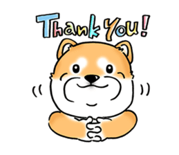 Shiba Inu "Hanapi" & "Kinako" face type sticker #2354764