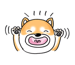 Shiba Inu "Hanapi" & "Kinako" face type sticker #2354766
