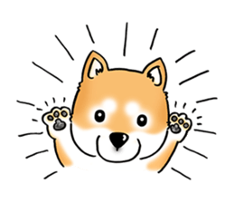 Shiba Inu "Hanapi" & "Kinako" face type sticker #2354769