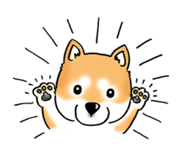 Shiba Inu "Hanapi" & "Kinako" face type sticker #2354769