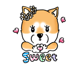 Shiba Inu "Hanapi" & "Kinako" face type sticker #2354772