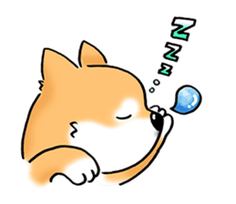Shiba Inu "Hanapi" & "Kinako" face type sticker #2354777