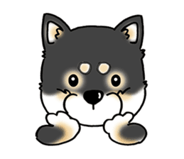 Shiba Inu "Hanapi" & "Kinako" face type sticker #2354778