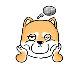 Shiba Inu "Hanapi" & "Kinako" face type sticker #2354779