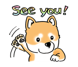 Shiba Inu "Hanapi" & "Kinako" face type sticker #2354780