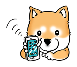 Shiba Inu "Hanapi" & "Kinako" face type sticker #2354782