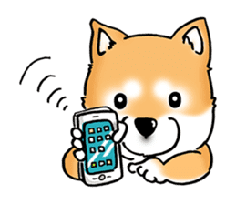 Shiba Inu "Hanapi" & "Kinako" face type sticker #2354782