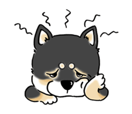 Shiba Inu "Hanapi" & "Kinako" face type sticker #2354784