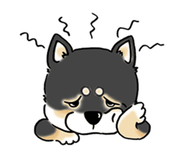 Shiba Inu "Hanapi" & "Kinako" face type sticker #2354784