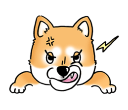 Shiba Inu "Hanapi" & "Kinako" face type sticker #2354785