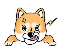 Shiba Inu "Hanapi" & "Kinako" face type sticker #2354785