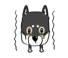 Shiba Inu "Hanapi" & "Kinako" face type sticker #2354786