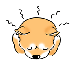 Shiba Inu "Hanapi" & "Kinako" face type sticker #2354787