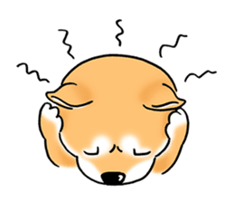 Shiba Inu "Hanapi" & "Kinako" face type sticker #2354787