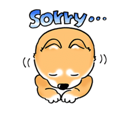 Shiba Inu "Hanapi" & "Kinako" face type sticker #2354788