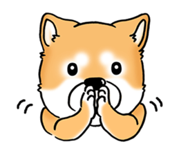Shiba Inu "Hanapi" & "Kinako" face type sticker #2354790