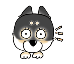 Shiba Inu "Hanapi" & "Kinako" face type sticker #2354792