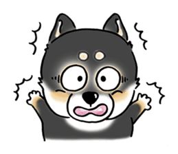 Shiba Inu "Hanapi" & "Kinako" face type sticker #2354794