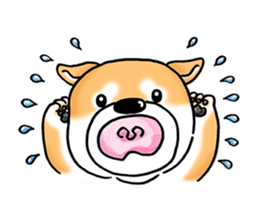 Shiba Inu "Hanapi" & "Kinako" face type sticker #2354795