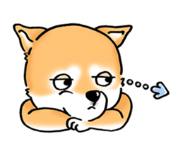 Shiba Inu "Hanapi" & "Kinako" face type sticker #2354798