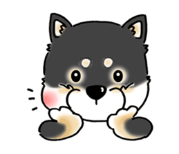 Shiba Inu "Hanapi" & "Kinako" face type sticker #2354799