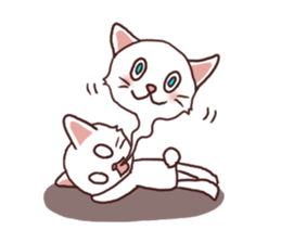Everyday white cat sticker #2354809