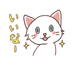 Everyday white cat sticker #2354832