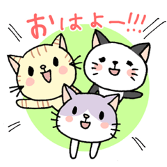 Cat girls from Japan