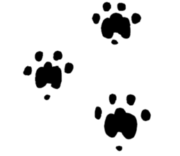 cat's pad detective sticker #2356119