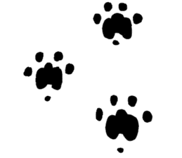 cat's pad detective sticker #2356119