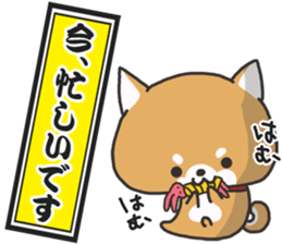 Daily life of the Japanese Shiba inu sticker #2356408